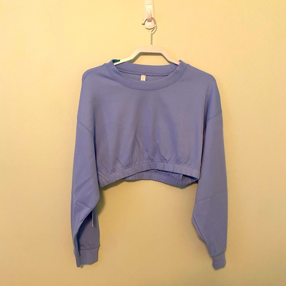 NWT light blue cropped sweater